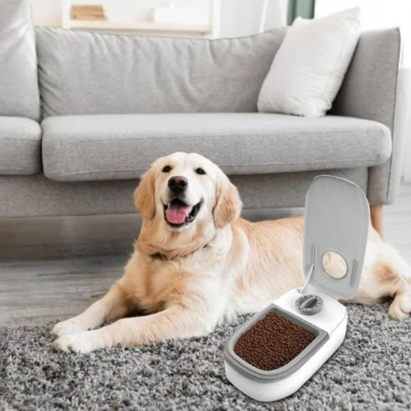 Dispensador Automático de Alimentos para Pets - FreshFeed Pro