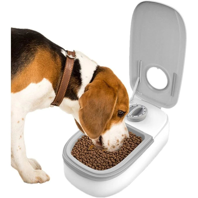 Dispensador Automático de Alimentos para Pets - FreshFeed Pro